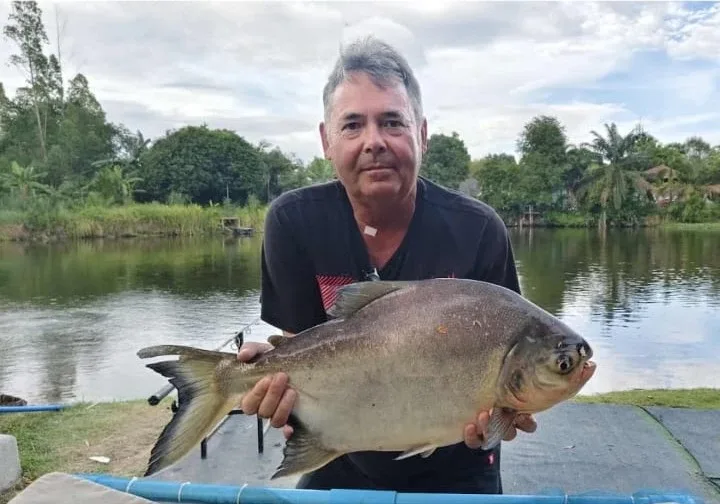 Pacu