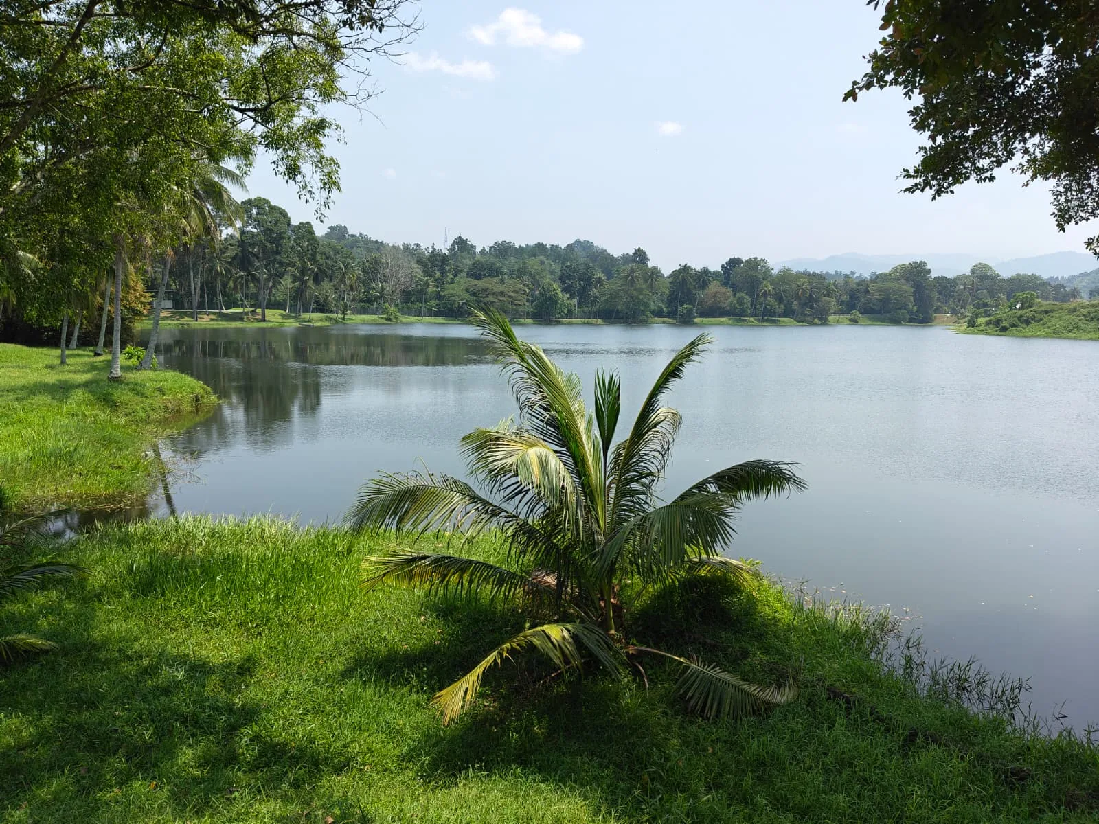 Predators Lake