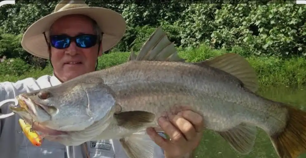 Sea Bass